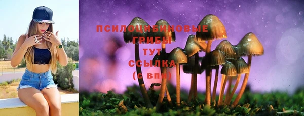 марки nbome Алзамай