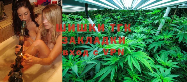ГАЛЛЮЦИНОГЕННЫЕ ГРИБЫ Алексин